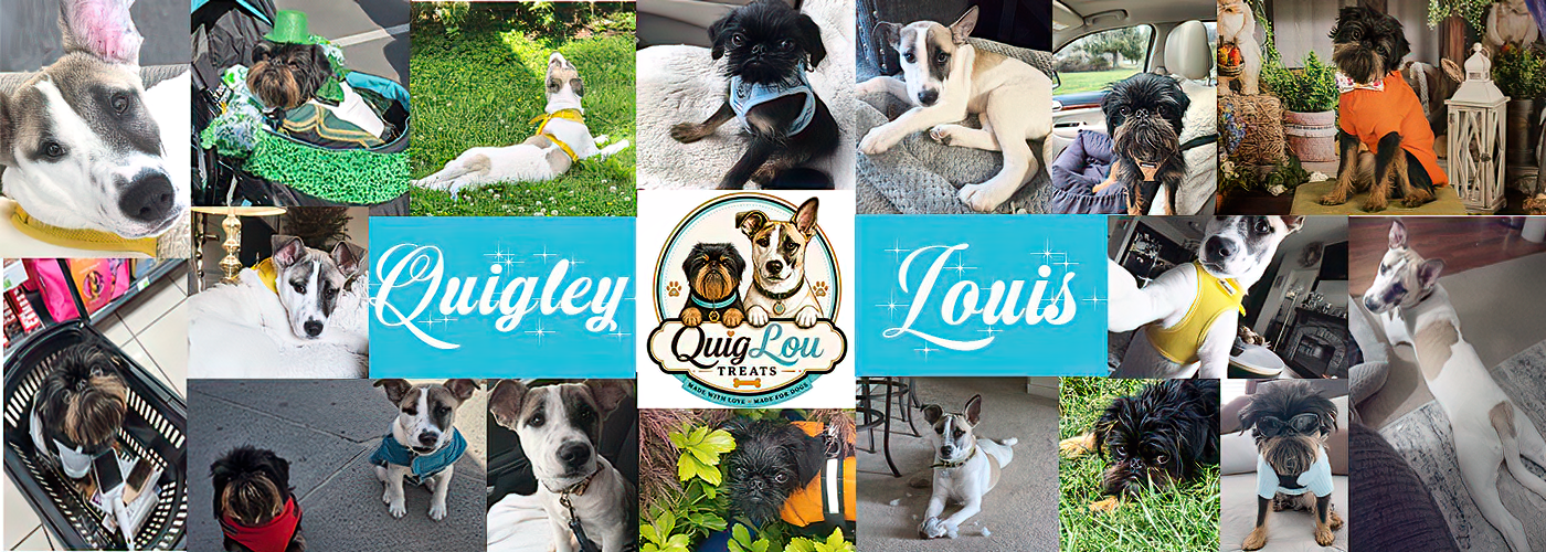 A collage of Quigley and Louis — the dogs behind QuigLou Treats