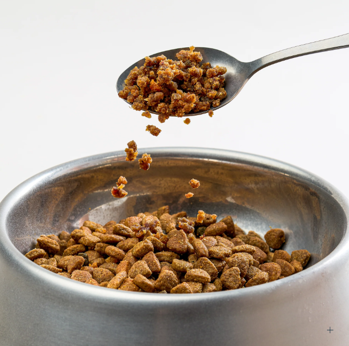 Sprinkles being spooned into a dog bowl